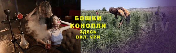 ПСИЛОЦИБИНОВЫЕ ГРИБЫ Иннополис