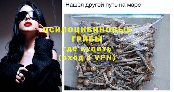 spice Зерноград