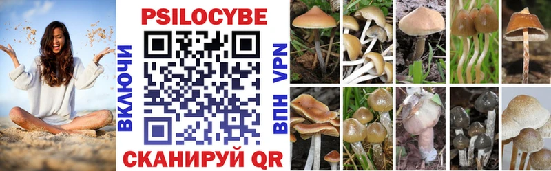 хочу наркоту  Калач  Псилоцибиновые грибы GOLDEN TEACHER 